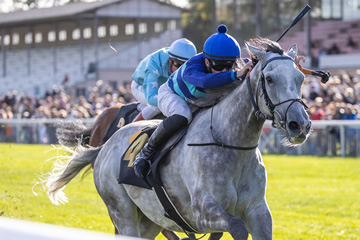 14.09.2024: Renntag Hoppegarten