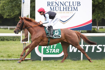 24.05.2025: Renntag Mlheim