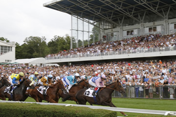 25.04.2026: Renntag D�sseldorf