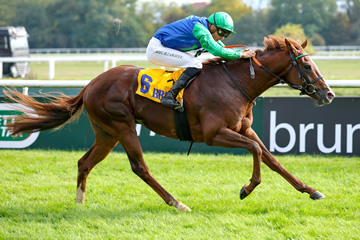 16.10.2026: Renntag Baden-Baden